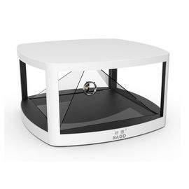 40 1개의 독립 홀로그램 단위 2GB AC110 - 240V에서 인치 3D 자필 전시 전부